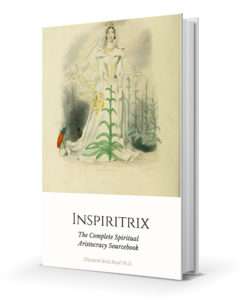 ERB Inspiritrix Cover